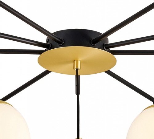 Подвесной светильник Favourite Paramount 3047-10P в Нижнем Новгороде фото 2