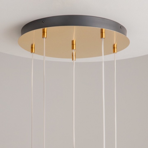 Подвесной светильник Maytoni Biology MOD367PL-L18BBSK в Нижнем Новгороде фото 8