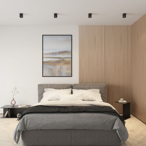 Накладной светильник Denkirs DK3040 DK3090-BK в Нижнем Новгороде фото 2