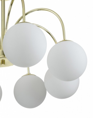 Люстра на штанге Indigo Voga 13017/8R Gold в Нижнем Новгороде фото 3