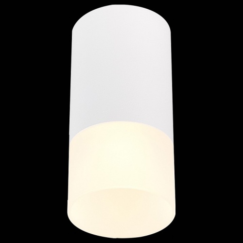 Накладной светильник ST-Luce ST100 ST100.512.01 в Нижнем Новгороде фото 3