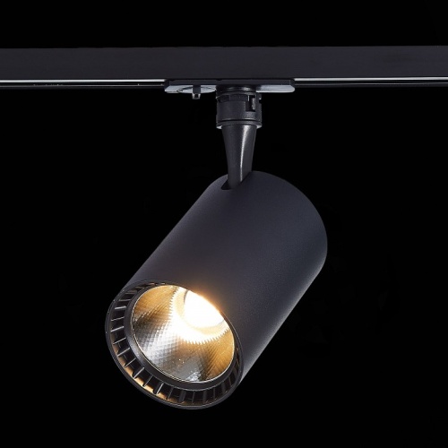 Светильник на штанге ST-Luce Cami ST351.446.15.36 в Нижнем Новгороде фото 4