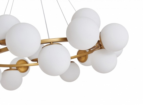 Подвесная люстра Zortes Blume ZRS.1895.05 в Нижнем Новгороде фото 4