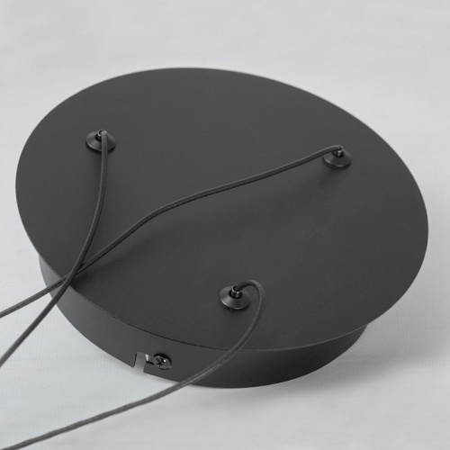 Подвесной светильник Lussole Lassen LSP-7257 в Нижнем Новгороде фото 3