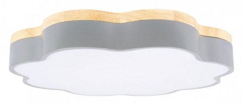 Накладной светильник Loft it Axel 10225/36 Grey в Нижнем Новгороде фото 7