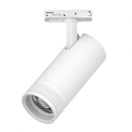 Светильник на штанге Lightstar Canno Pro C4206SS в Нижнем Новгороде фото 3