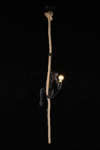 Подвесной светильник Aployt Magali APL.309.16.01 в Новороссийске фото 4