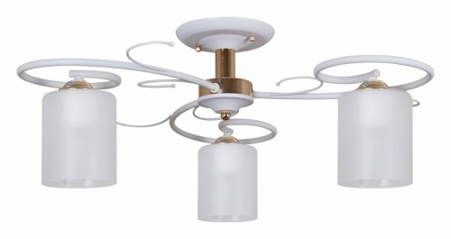 Люстра на штанге 00738-0.3-03 в Нижнем Новгороде