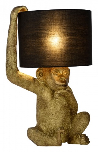 Настольная лампа декоративная Lucide Extravaganza Chimp 10502/81/30 в Иланском