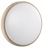 Накладной светильник Sonex PALE 7607/CLN в Нижнем Новгороде