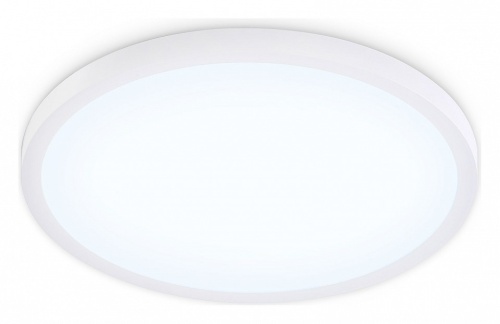 Накладной светильник Ambrella Light FZ FZ1955 в Нижнем Новгороде