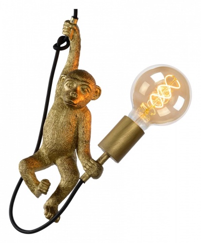 Подвесной светильник Lucide Extravaganza Chimp 10402/01/30 в Коркино