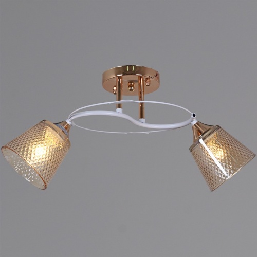 Светильник на штанге 06003-0.3-02 FG+WT в Нижнем Новгороде фото 4