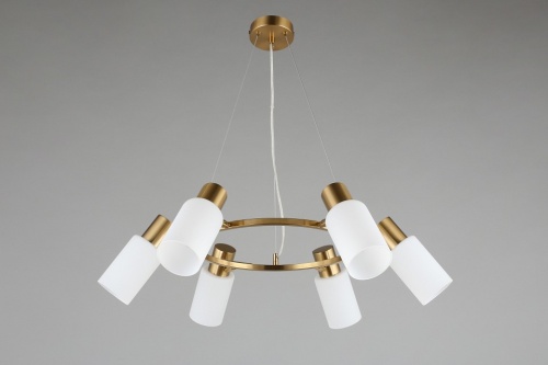 Подвесная люстра Omnilux Ales OML-69103-06 в Нижнем Новгороде фото 7