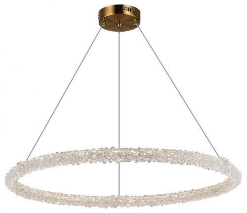 Подвесной светильник ST-Luce Avana SL6110.223.01 в Слободском фото 4