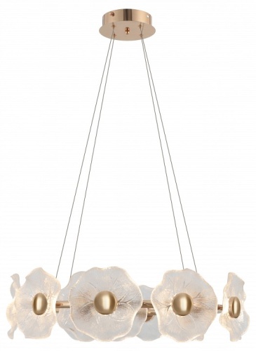 Подвесная люстра Rivoli Shannon Б0061947 в Нижнем Новгороде фото 5