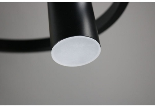 Подвесная люстра Zortes Tweeny ZRS.1828.50 в Нижнем Новгороде фото 13