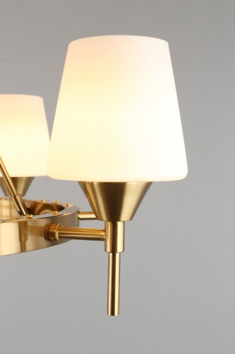 Подвесная люстра Aployt Lyus APL.840.03.08 в Нижнем Новгороде фото 14