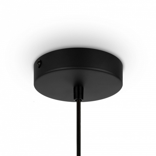 Подвесной светильник Maytoni Roots MOD193PL-01W в Нижнем Новгороде фото 6