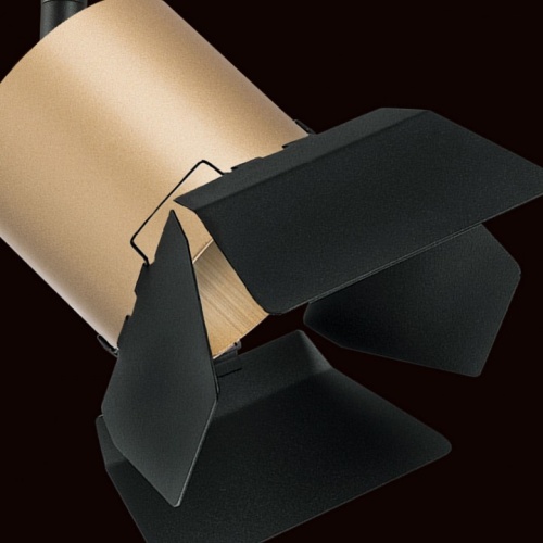 Светильник на штанге Lightstar Rullo PRO3490487 в Нижнем Новгороде фото 2