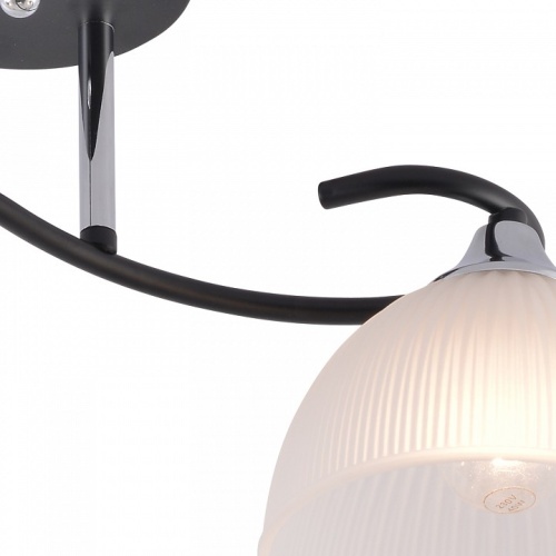 Светильник на штанге 01635-0.3-02 BK+CR в Нижнем Новгороде фото 3