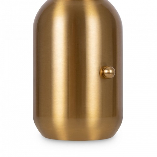 Настольная лампа декоративная Freya Cherie FR5287TL-01BS в Нижнем Новгороде фото 2