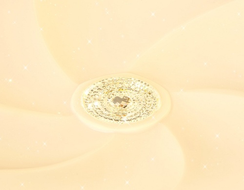 Накладной светильник Ambrella Light FF FF23 в Нижнем Новгороде фото 3