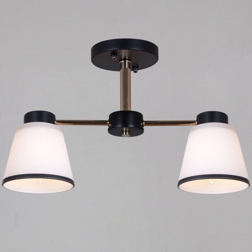 Светильник на штанге  30560-0.3-02 BK+FG в Нижнем Новгороде