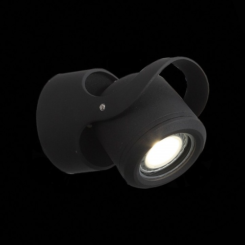 Светильник на штанге ST-Luce Round SL093.401.01 в Кораблино фото 5