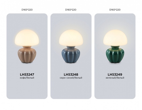 Настольная лампа декоративная Ambrella Light LH LH53248 в Нижнем Новгороде фото 3