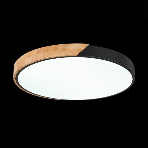 Накладной светильник EVOLUCE Festa SLE200942-01 в Нижнем Новгороде фото 8