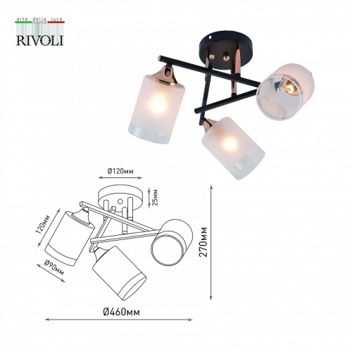 Люстра на штанге Rivoli Fiona Б0059259 в Нижнем Новгороде фото 7