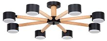 Потолочная люстра Arte Lamp TENDA A1624PL-8BK в Нижнем Новгороде