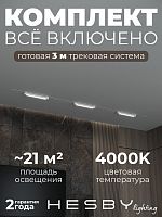 Комплект трековый Hesby Lighting Skylite №1 HSBL_kompl_S001_VI3W4K_01 в Нижнем Новгороде