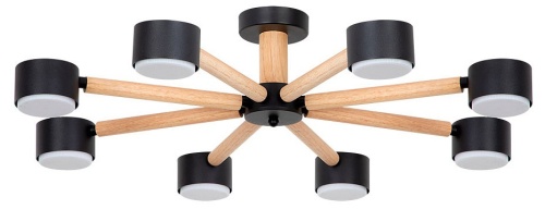 Потолочная люстра Arte Lamp TENDA A1624PL-8BK в Нижнем Новгороде