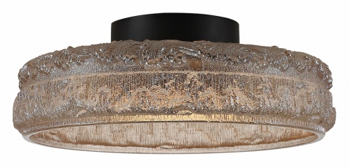 Накладной светильник ST-Luce ANTIKE SL6143.422.01 в Нижнем Новгороде фото 4