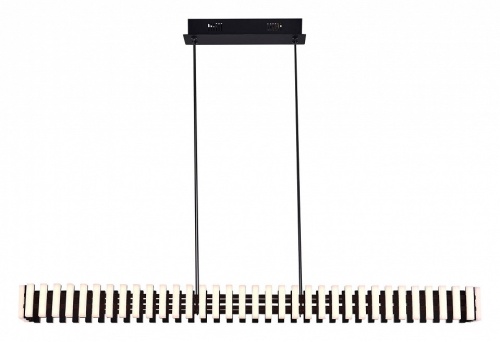 Подвесная люстра ST-Luce Estense SL6203.413.42 в Нижнем Новгороде фото 3