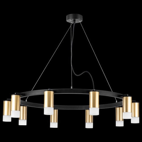 Подвесная люстра Lightstar Rullo LR0204001 в Нижнем Новгороде фото 4