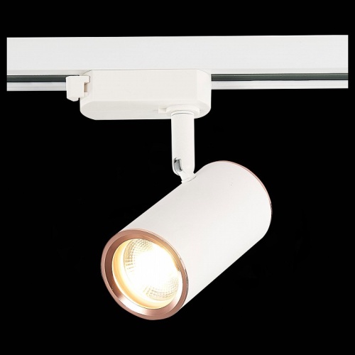 Светильник на штанге ST-Luce Cromi ST301.526.01 в Нижнем Новгороде фото 6