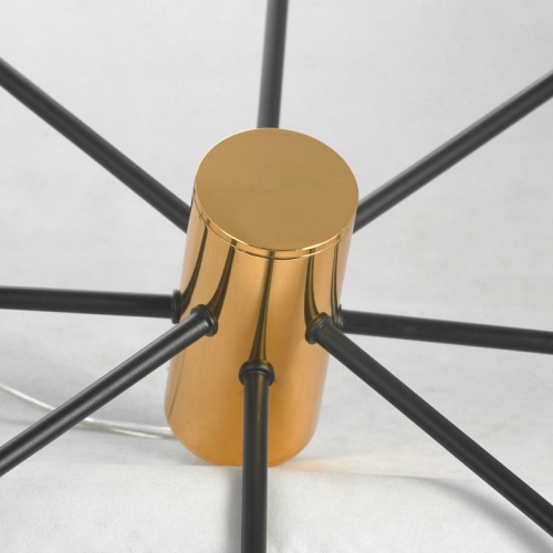 Подвесная люстра Lussole Duncan GRLSP-8252 в Нижнем Новгороде фото 10