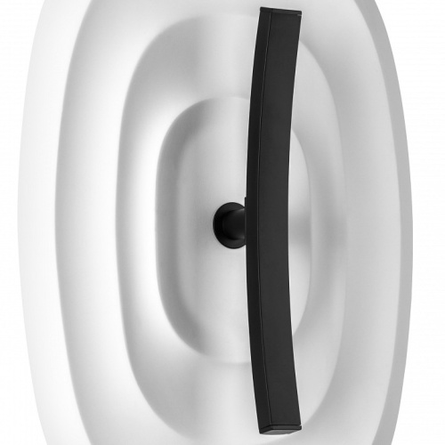 Накладной светильник Lightstar Erica 609646 в Нижнем Новгороде фото 5