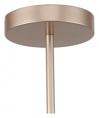 Люстра на штанге F-promo Calor 2774-5P в Нижнем Новгороде фото 2