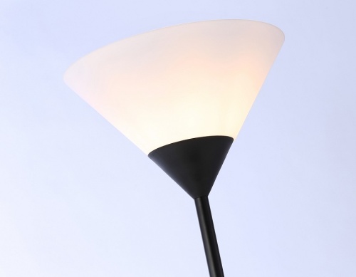 Торшер Ambrella Light TR TR97618 в Нижнем Новгороде фото 4