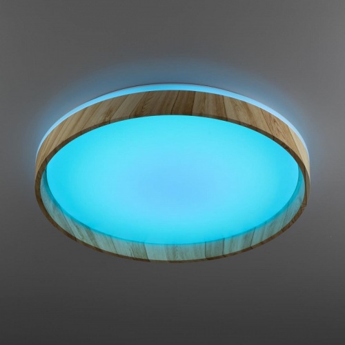 Накладной светильник Citilux ENZO CL753452G в Нижнем Новгороде фото 5