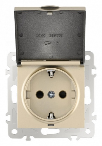 Розетка влагозащищенная с заземлением и со шторкой с крышкой Arte Milano am-206 206.41-1.shampan в Нижнем Новгороде фото 7