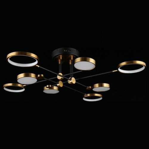 Потолочная люстра Aployt Ines APL.043.07.65 в Нижнем Новгороде фото 11