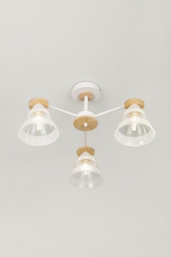 Люстра на штанге Rivoli Theothila Б0068434 в Нижнем Новгороде фото 4