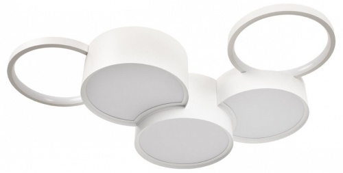 Потолочная люстра Loft it Pin 10317/5 White в Нижнем Новгороде фото 2