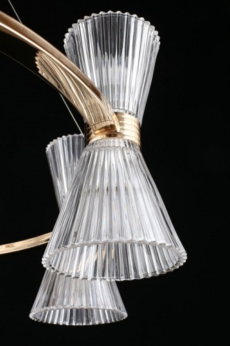 Подвесная люстра Aployt Elinor APL.801.03.16 в Нижнем Новгороде фото 9