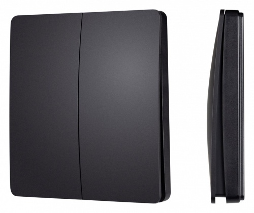 Выключатель беспроводной двухклавишный Arlight INTELLIGENT 048257 в Нижнем Новгороде